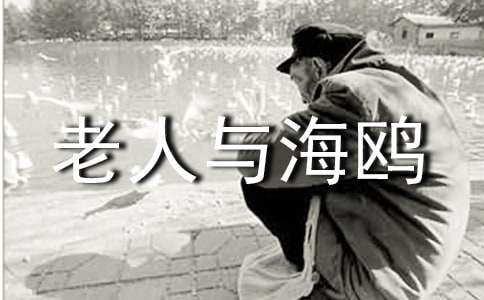 讀《老人與海鷗》閱讀心得體會(huì)
