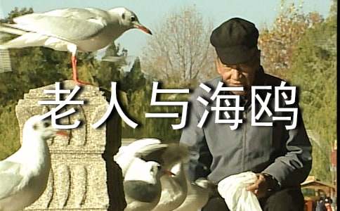 ���꼉�m(x��)�����ġ������c���t�������x��