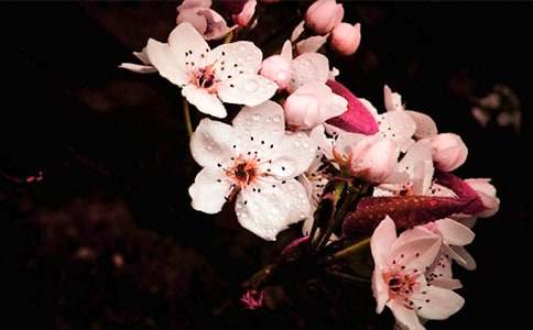 �^�滨����