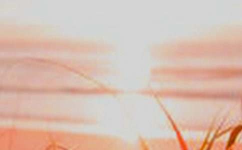 ������ѩ����2ƪ