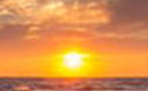 ��������������ĸ��~