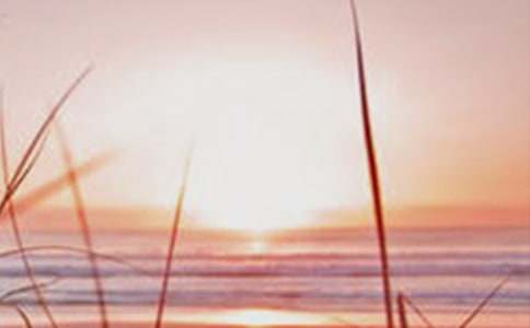 把黎明的美麗帶給曾經失落的我作文1200字