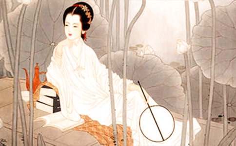 �茑�����յ�����800��