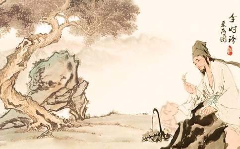 《李時珍》教案合集9篇