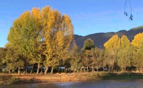 �����ų���ӛ����400��8ƪ