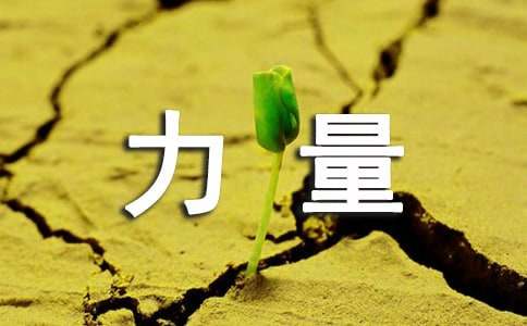 ��(m��ng)��������̌W(xu��)�O(sh��)Ӌ(j��)15ƪ