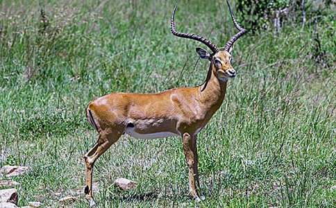 ����ľ��̌W�OӋ