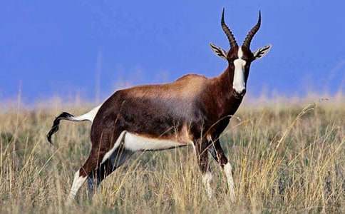 ������ľ�񡷾��x�̌W(xu��)�O(sh��)Ӌ