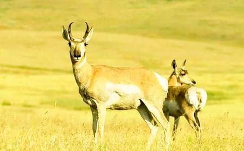 ����ľ���m(x��)������500�֣����x8ƪ��