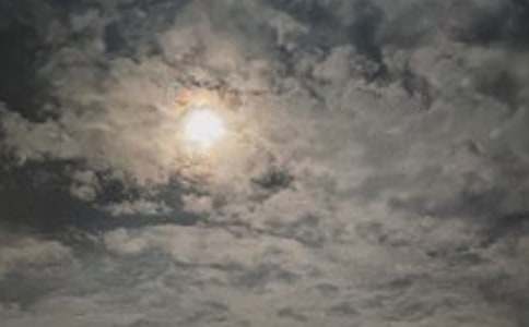 介紹凌晨作文700字上下