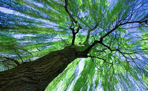 ���ˇ�g(sh��)���(d��ng)������(sh��)����̰��O(sh��)Ӌ(j��)��ͨ��5ƪ��