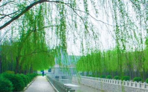 һ�꼉�ԡ��������ˡ��ă�(y��u)��̰�