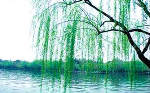 ���������ˡ��̰�����