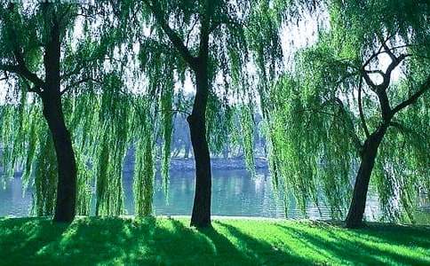 ��ࡶ����(sh��)����̰�