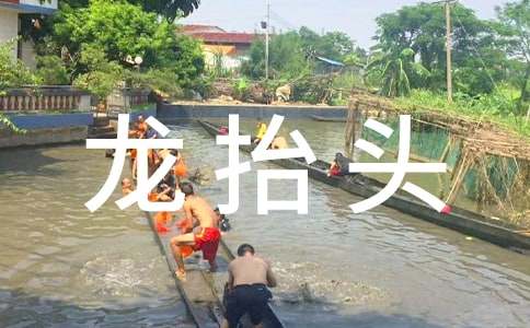 二月二龍?zhí)ь^習(xí)俗作文800字