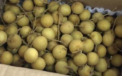 �����x�����ۘ�������ƪ