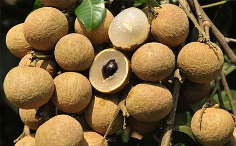 ���x���ۘ�(sh��)������ƪ