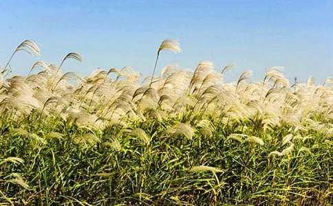 ���l(xi��ng)���JȔС�W(xu��)����