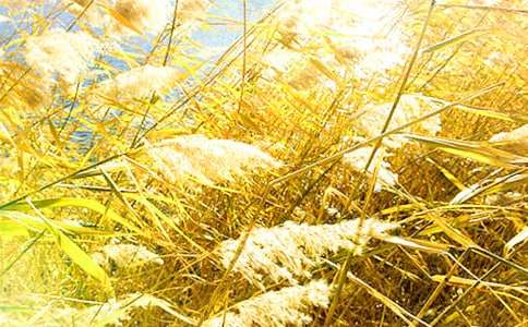 �JȔ?sh��)Ć�ʾ���?/></p>
<p>����������ʲô�������Ǿ`�ŵĻ������������¸�ȥ�挦���y��Σ�U�ľ������������JȔ���L(f��ng)�����������B������������ �JȔ�o�ҵĆ�ʾ�ᣬՈ ���渵�����</p><p>�����������ż�Ҋ�^�S���JȔ�������p�p�ؿ��ڰ�߅���S��΢�L(f��ng)������������q��һλλ��l��Ů��һ��Մ?w��)������õ����������������õĕr�⡣</p><p>������һ�����ҏ�3�Ǵ�������������Ҋ�쐞�����ģ������ܲ������ź��⹫һ���������������������ϕ�ĵ��������s�o��ȥ��æ�����Ȅ����M�����҂��۵Úⴭ���������Ϳ�Ҋ���桰�W�������������_ʼ�����˃A�������</p><p>������ͻȻ��Ҋ�Ӱ�߅���JȔ�������c��������������֮�e������һЩ�JȔ�D�y��ֱ���������¸ҵ��挦���L(f��ng)������Щ�JȔ���^�ʚ�؏��������@��������������Щ�JȔ�ѽ�(j��ng)һ���w�����������L(f��ng)�۔����������ǑK���̶����@Щ�������L(f��ng)�ƺ������ˌ����đK�������Ӳ����ˡ�СС����ˮ����Ҳ׃���L(f��ng)�Ŀ����������L(f��ng)�������ݺݵش��ڴ������JȔ�ϡ��ҵ��ľ��������������@Ƭ�������JȔ���@�ӟo�ʵ���ʧ�������L(f��ng)�o�o��߬������������߀��</p><p>�������^���JȔͻȻ������uѪ�Ƶ��֡�վ�����������S���L(f��ng)�h�h���Ƶ��赸���L(f��ng)�ƺ��ں𡰄e�������������ܲ���������</p><p>������һ�������L(f��ng)����������Ҳ���������@һ���L(f��ng)��ƽϢ�����ҵ�����˼�w�fǧ���α����JȔ�ܲ���֧�ε�����أ�</p><p>�����ڶ��������������̷����´����ܵ����_߅���JȔ���l(f��)�F(xi��n)�JȔ��Ȼ߀���������L�ø���ǰһ�������[�[�����f���L(f��ng)�Ѓ�(y��u)�����赸���JȔ�U�����ԭ�����։������Y(ji��)���������룺�JȔ��ԏ�����(j��ng)�v���@�ӵ�ĥ�y���Ժ����ٴ���L(f��ng)������Ҳ�����������挦��(y��ng)���@��һ��Ԓ������(j��ng)�v�L(f��ng)������ôҊ�ʺ����</p><p>�������ڌW(xu��)��(x��)��ҲҪ���JȔ�W(xu��)��(x��)���������ǈԏ����挦�κ����y��</p><p>���JȔ?sh��)Ć�ʾ���ġ����P(gu��n)���£�</p><p><a target=