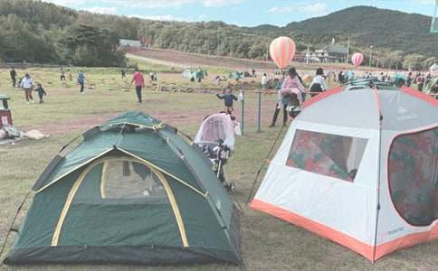 【必備】露營小學作文4篇