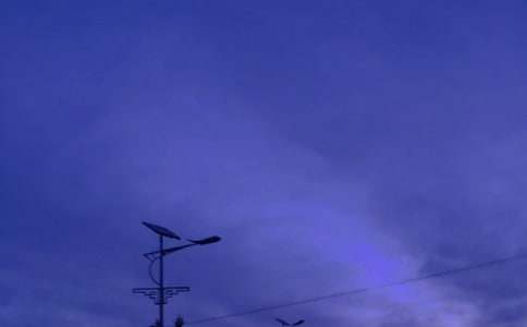 學(xué)習(xí)路燈作文800字