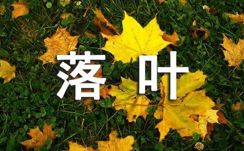 《落葉》教學(xué)設(shè)計(jì)的范文