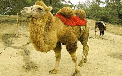 �����̌W(xu��)�O(sh��)Ӌ(j��)