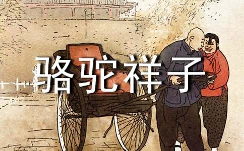 《駱駝祥子》300字優(yōu)秀讀書筆記