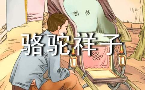 有關(guān)駱駝祥子好詞好句