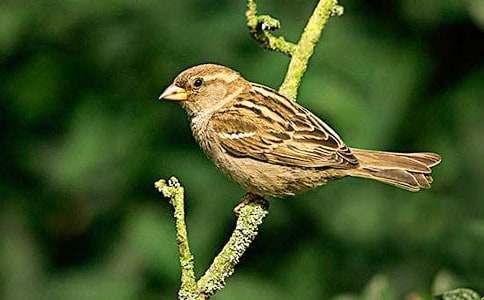 ��ȸ�o�ҵĆ�ʾ���꼉����600��