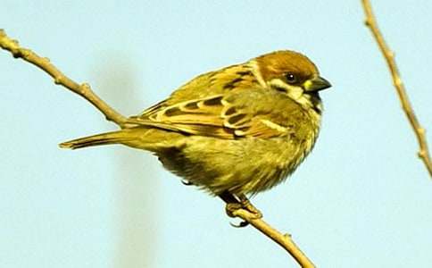 ��ȸ_�茑��ȸ������300��