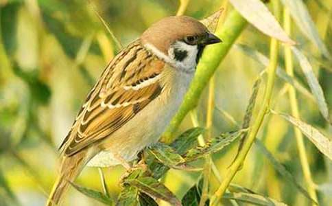 �茑��ȸ�ă�(y��u)������