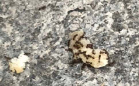 ��Λρ�c�X�X���̌W(xu��)�O(sh��)Ӌ(j��)