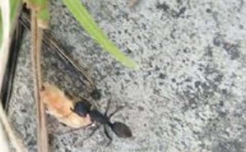 Λρ�o�ҵĸ�������