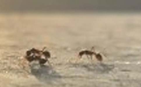 Λρ����^���ġ����]��