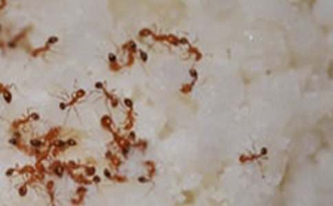 ��Λρ�ᶹ�����̰��c��˼�����x22ƪ��