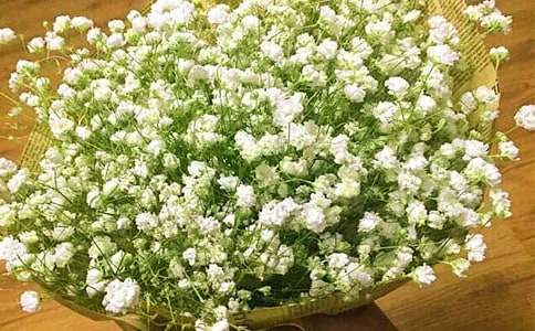 �M(m��n)���ǵ����ģ����x10ƪ��