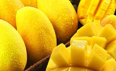 小學(xué)生暑假作文:我愛家鄉(xiāng)的芒果