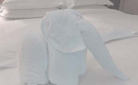 學(xué)洗毛巾的作文400字