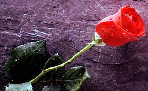 С¹��õ�廨��(y��u)��̌W�O(sh��)Ӌ