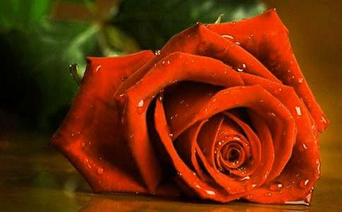 ٛ��õ�������������ģ����x42ƪ��