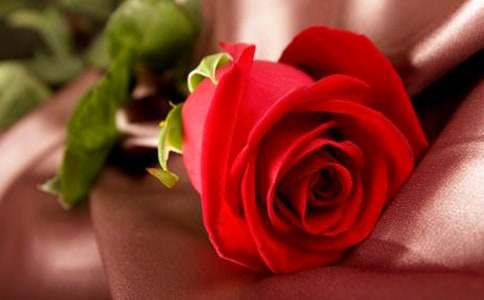 ��õ���������ƪ