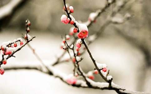 ��÷���꡷�̰�����