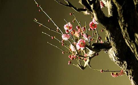 ��һ�Σ������܆��l(f��)_�P��÷��������800��