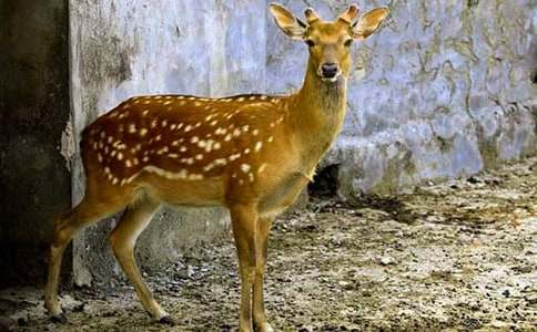 ÷��¹����20ƪ