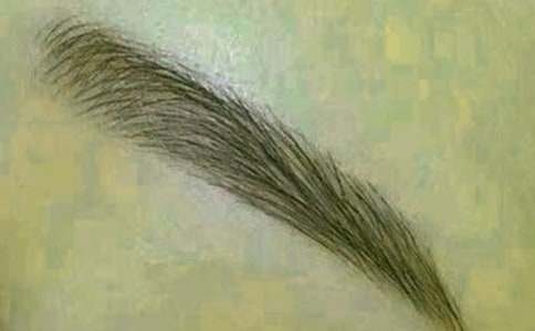 ������üë250������