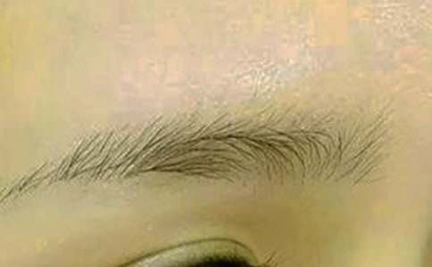 ���H��üë����_�茑�ְ�900��