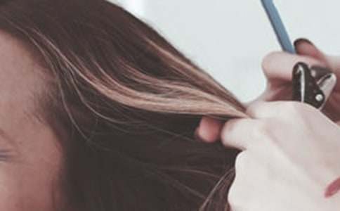 家庭美發(fā)師作文