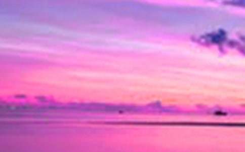 深圳的美景作文350字