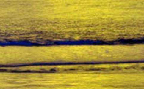 ���x������������3ƪ